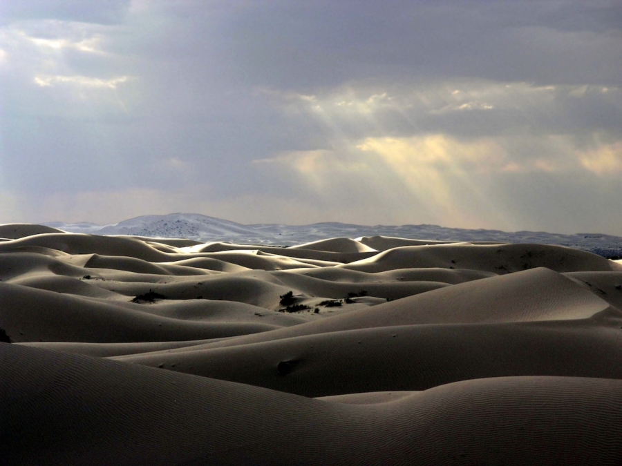 dunas de samalayuca