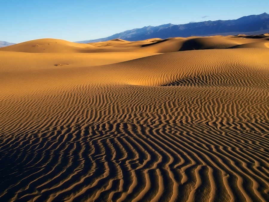 desierto de samalayuca