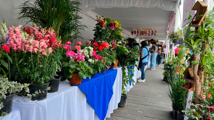 feria-de-las-flores-facebook feria-de-las-flores-facebook