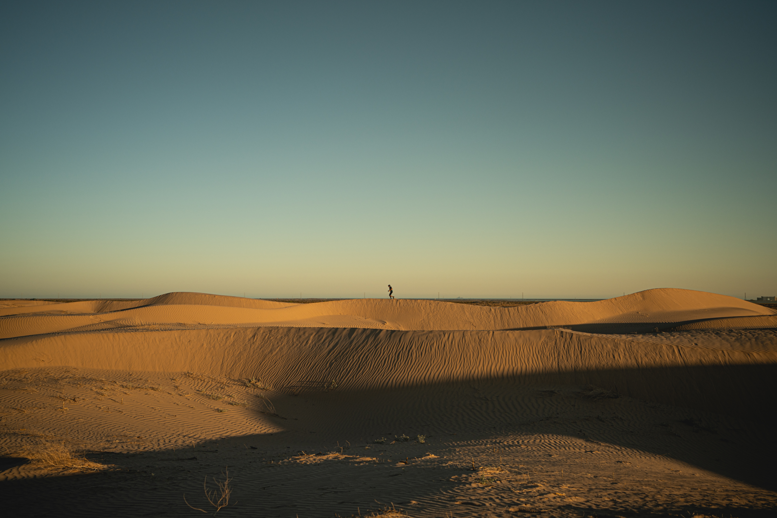 Gran carrera del desierto, sonora