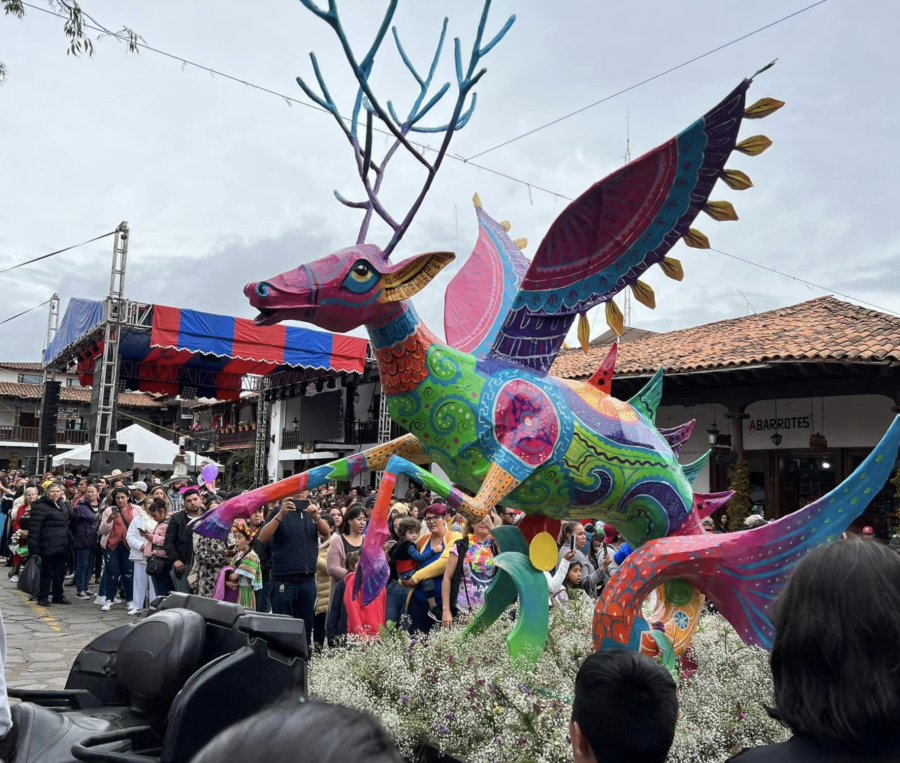 14vo Festival de las Flores, festeja la belleza de la naturaleza en
