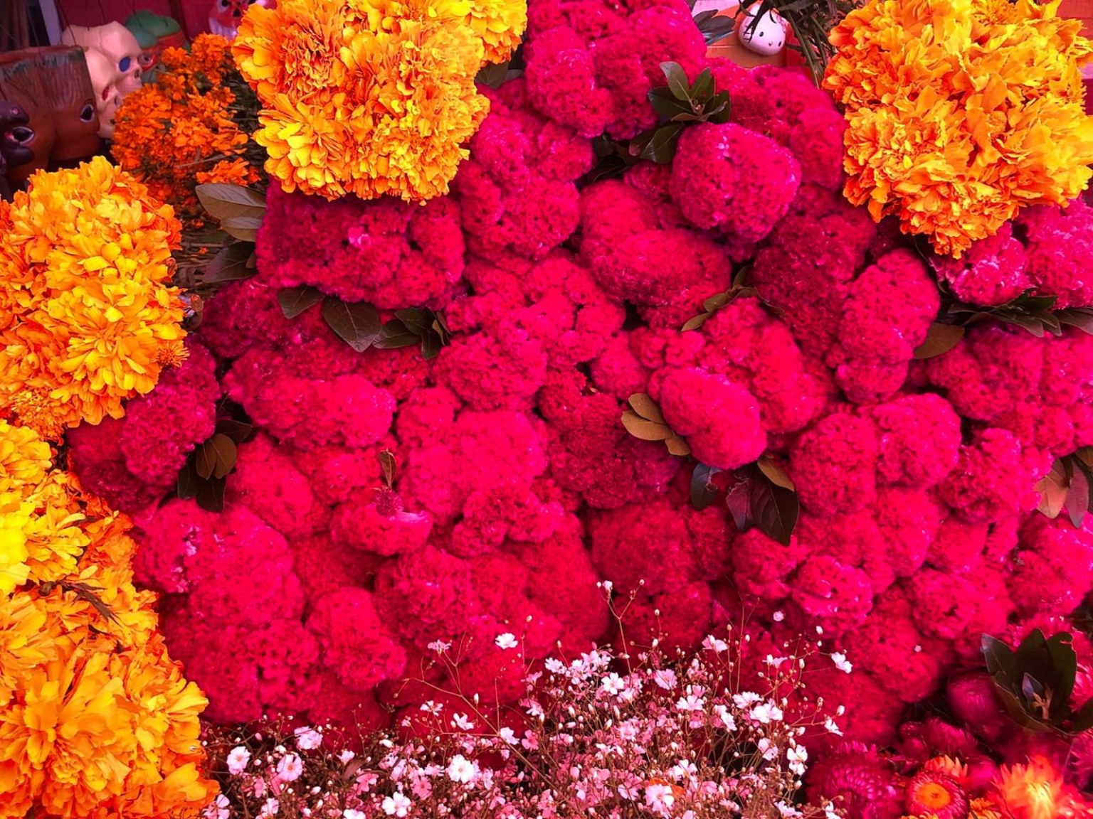 5 flores de Día de Muertos, cuáles son y su significado en el altar