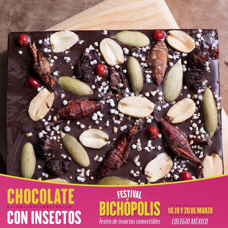 chocolate con insectos