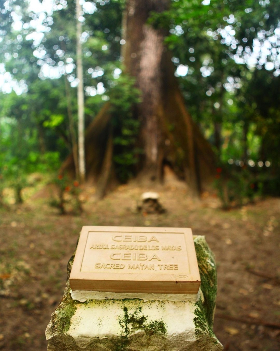 Letrero en Palenque, Chiapas