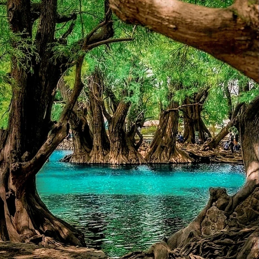 El Lago de Camécuaro significa Lugar de la amargura oculta