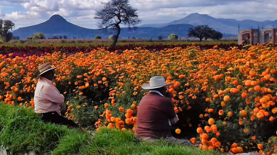 Esta etnia habita en el Valle de Mezquital, en Hidalgo, entre otras localidades