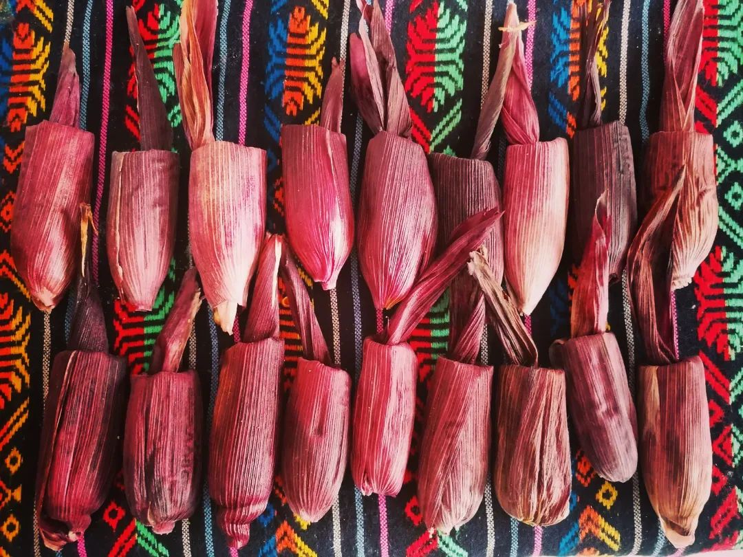 Estos tamales se preparan, en la receta original, con maíz rojo