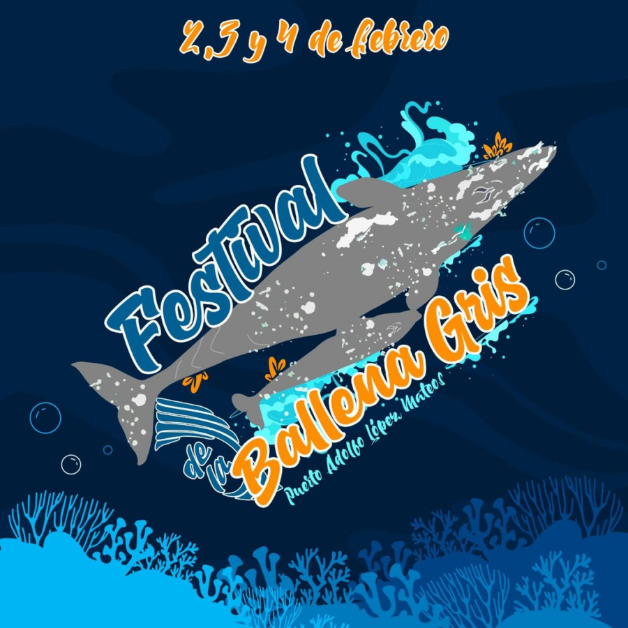 Festival de la ballena gris