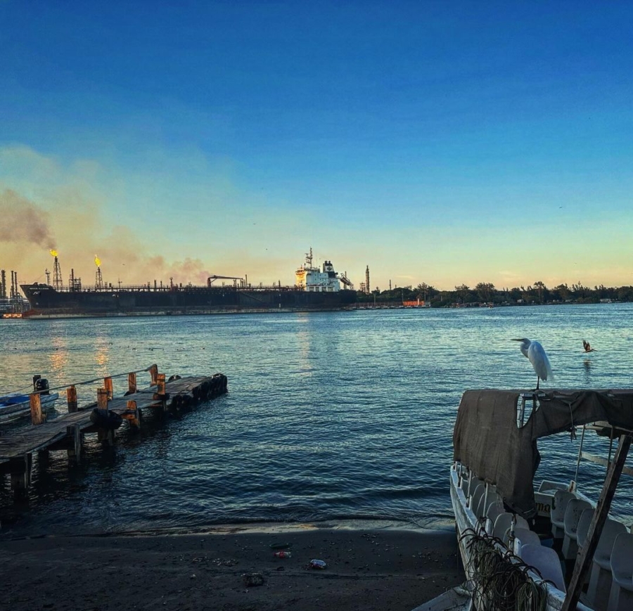 La contaminación ha impactado los ecosistemas y la salud de las personas 