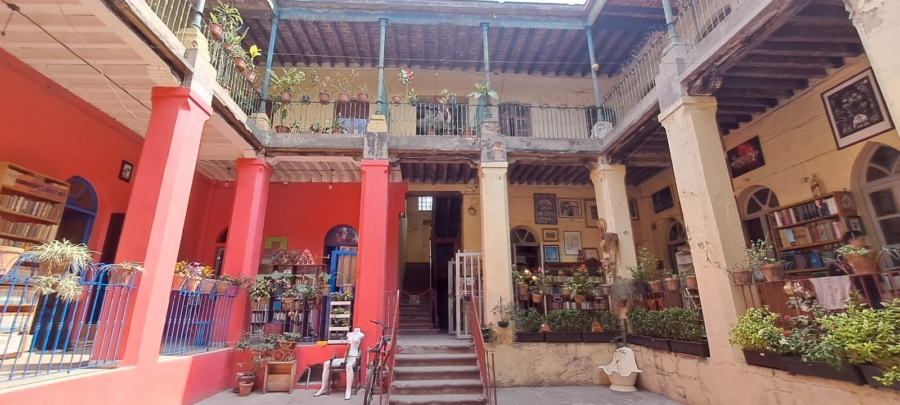 Librería Niña Oscura