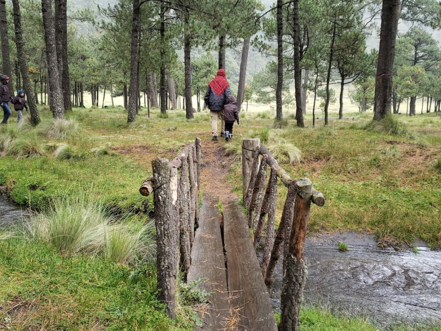Parque Ecológico Apatlaco