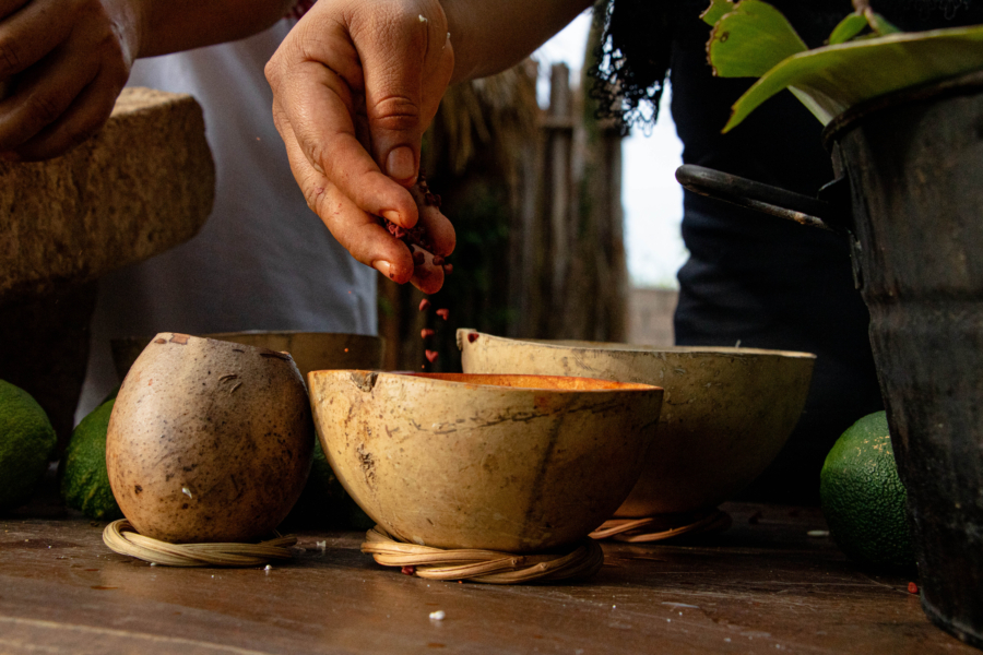 2023-02-05 talleres de cocina yucatán