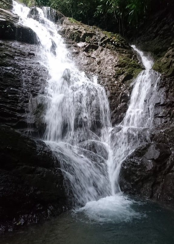 cascadas de veracruz