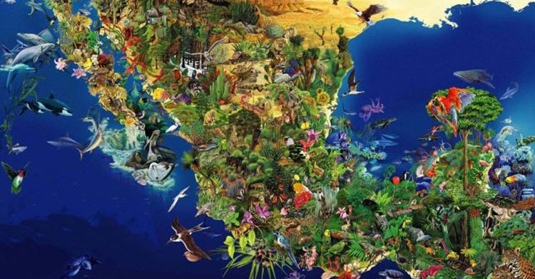 Biodiversidad en México