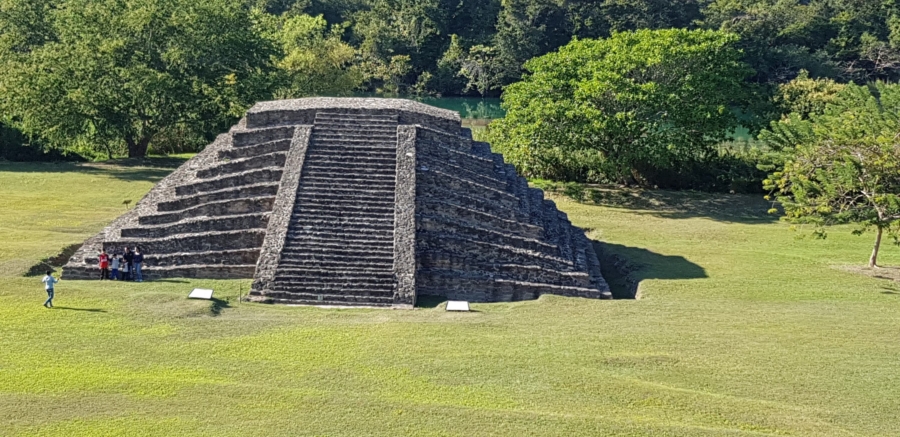 lagartero