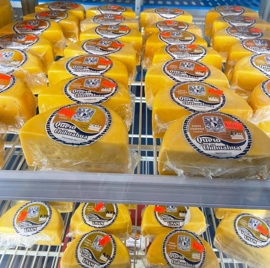 puma gourmet