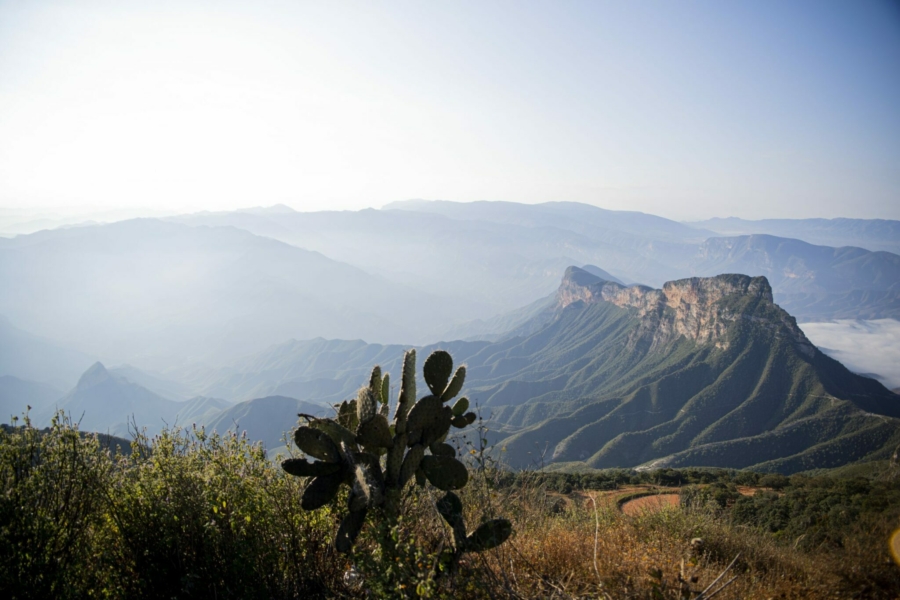 la ruta del pulque en la sierra gorda