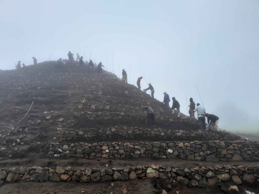 Tetelictic