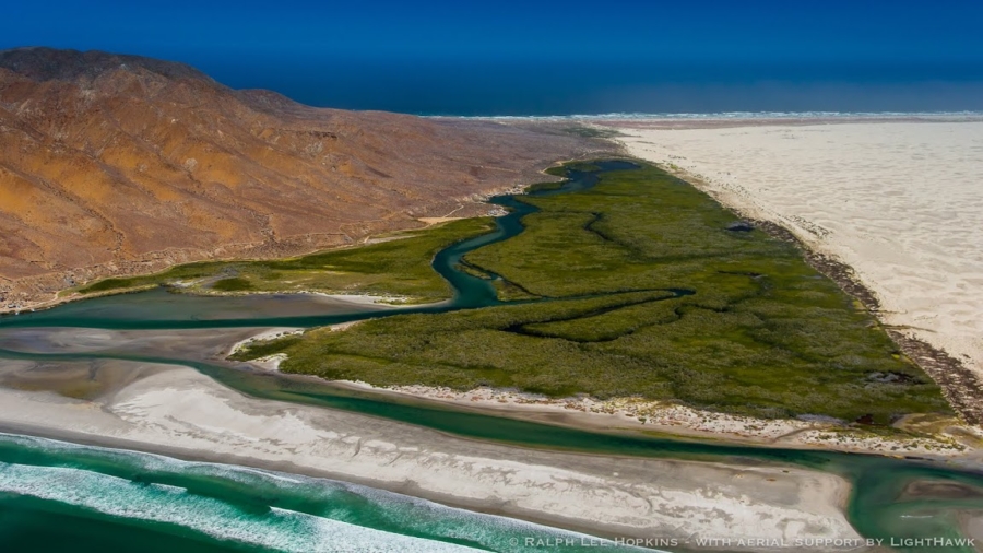 Isla Magdalena