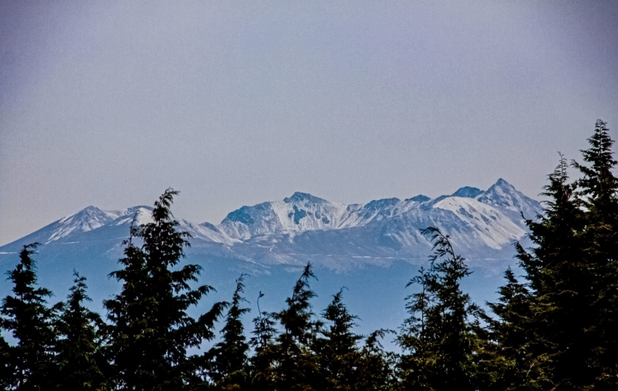 nevada-toluca-a