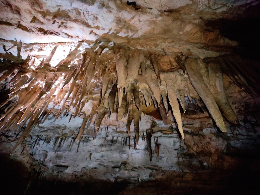 Grutas de Nanacatlán