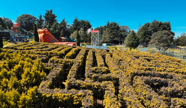 Rancho Mágico