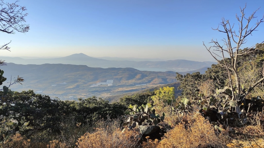 Sendero-Cerro-Viejo-Jalisco-8