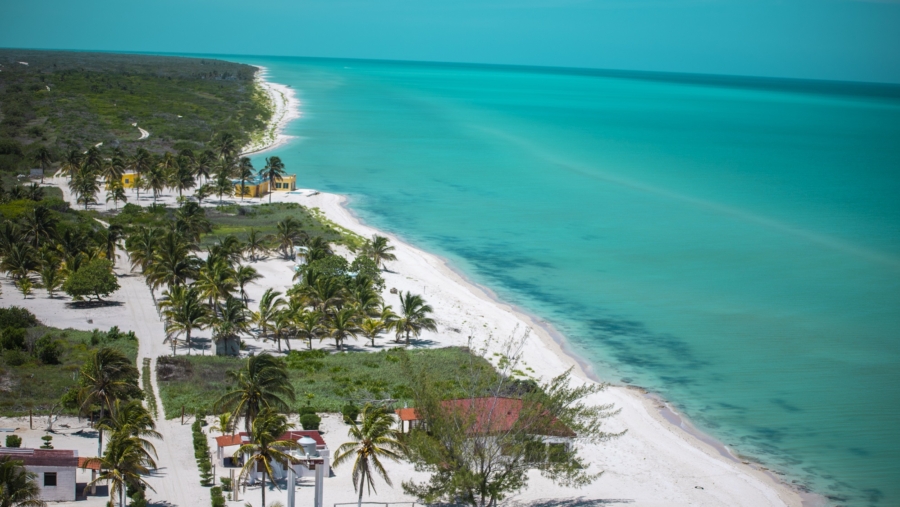 El Palmar
