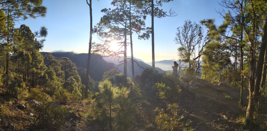 Reserva de la biósfera Sierra de Manantlán