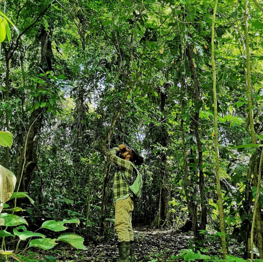 Guardianes de la naturaleza