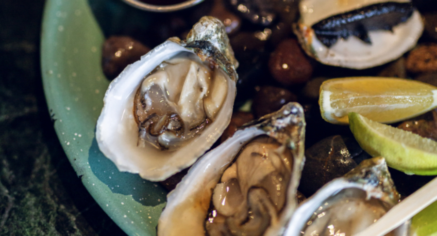gastronomía de todos santos