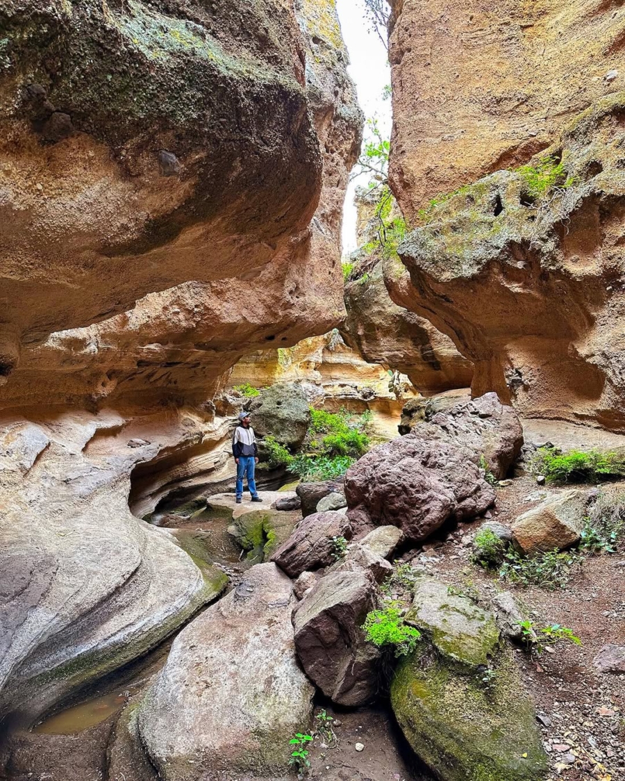Barranca La Colmena