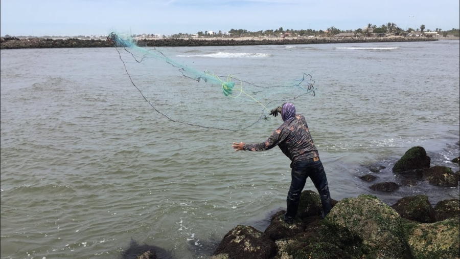 En algunas partes de México se han impulsado cooperativas que promueven la pesca responsable. Youtube.