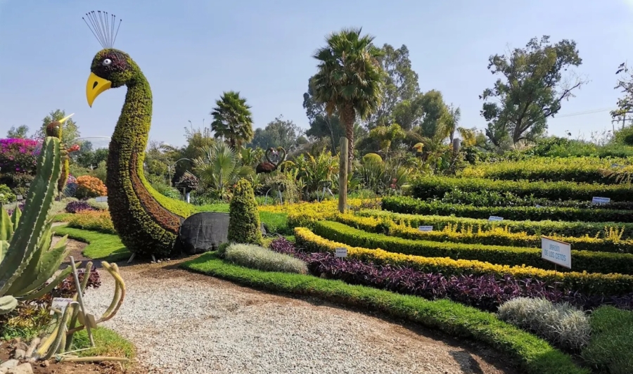 Jardín Mágico Atlixco