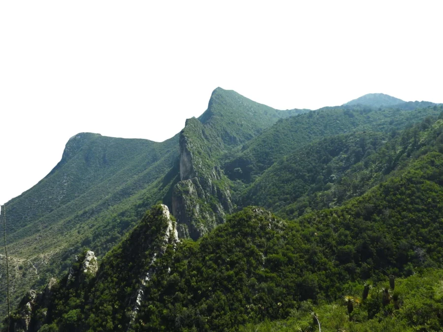 pasiaje en Cañón de San Lorenzo