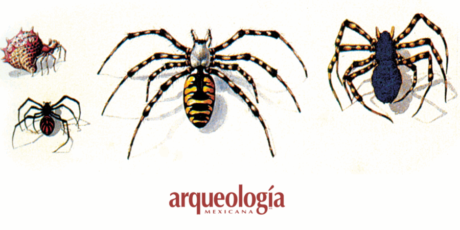 Arañas