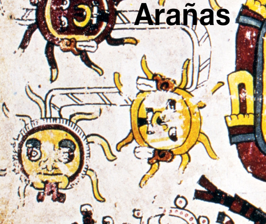 Las arañas entre los mexicas