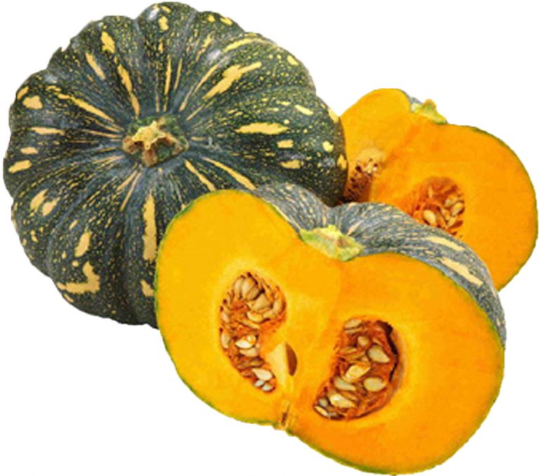La calabaza de casco abunda en regiones tropicales y húmedas. Pinterest.