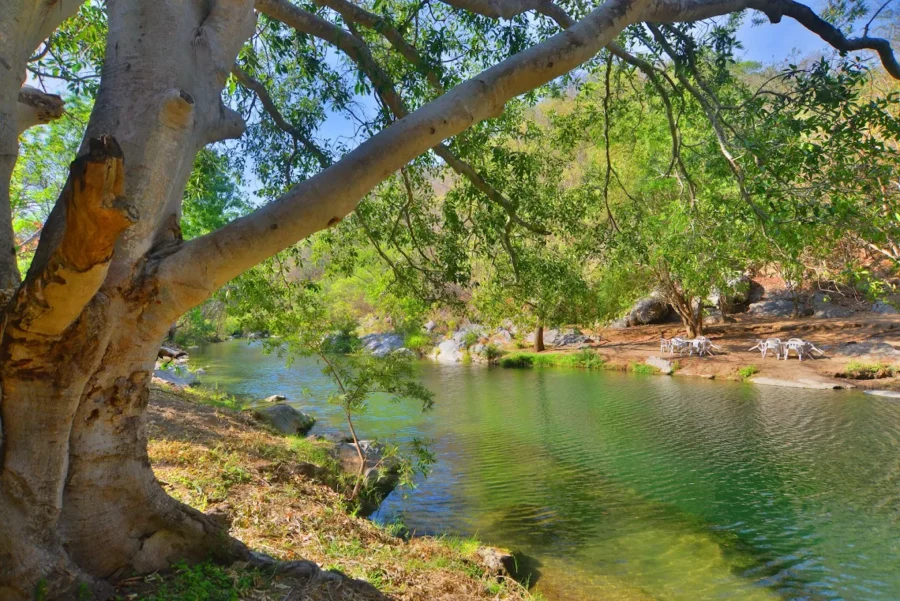 El hervidero colima