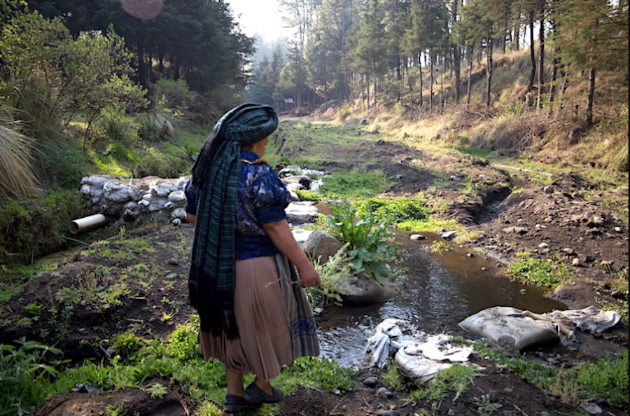 La tradición purépecha de pedir permiso a la naturaleza se sustenta en el conocimiento de que el monte no es un recurso, sino un ser vivo con voluntad. Pinterest.