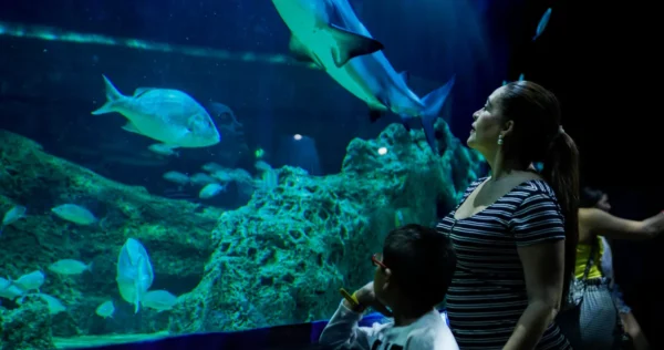 Acuario Michin Guadalajara