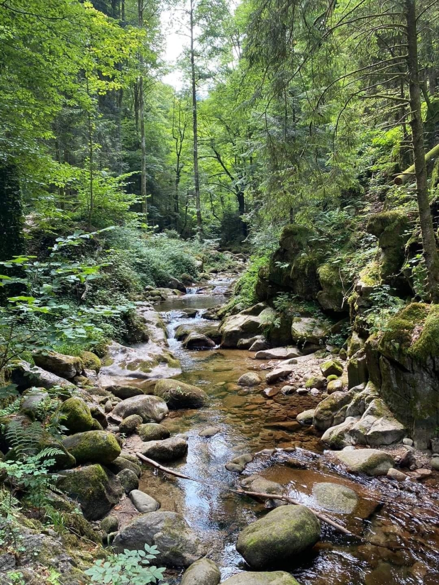 aroyos en la Sierra de Quila