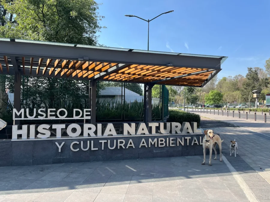 museo de historia natural y cultura ambiental