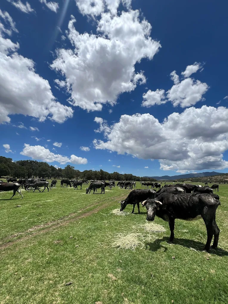 rancho seco en tlaxcala