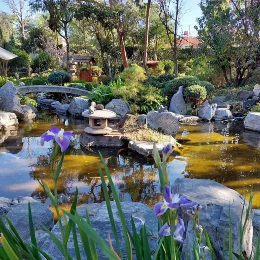Jardín japonés AMJ