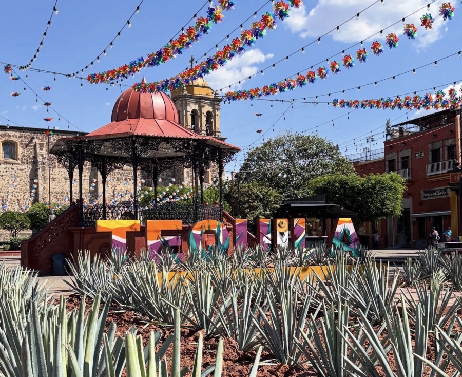 Dos días en Tequila y una pregunta: ¿por qué no has ido? - México  Desconocido