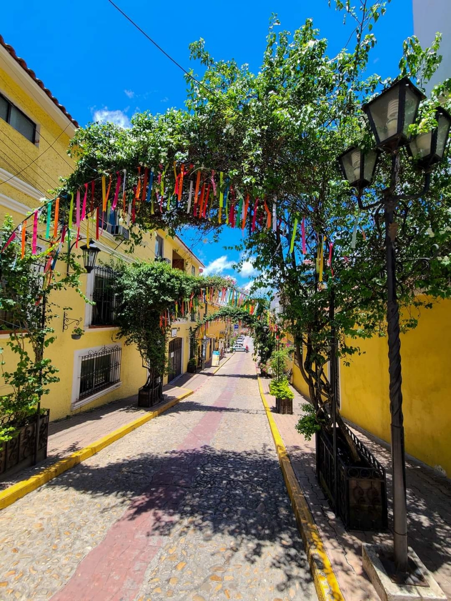 el andador guadalupano de Ocosingo