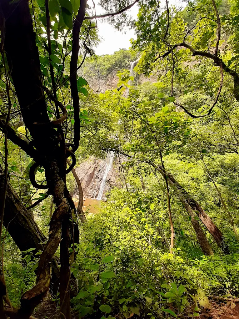 Cascada el mixcuate en colima