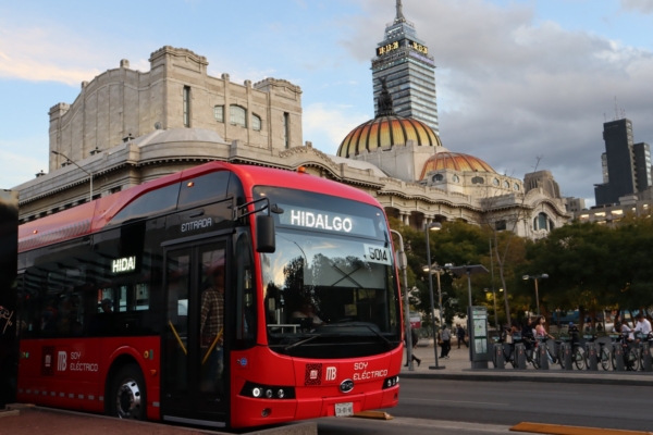 El Organillero
