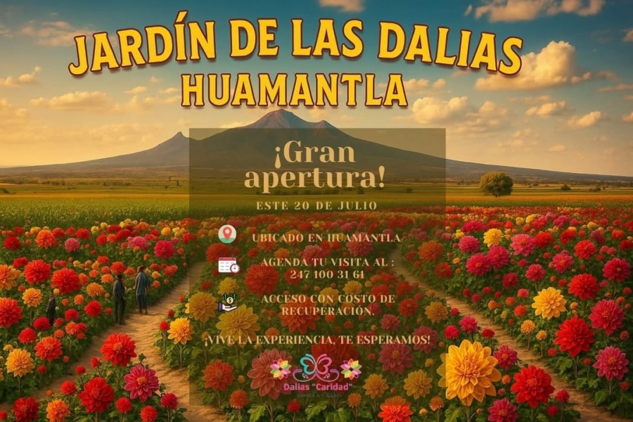 Campo de dalias en huamantla